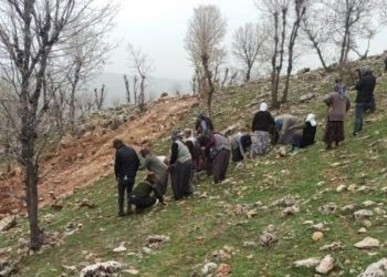 Adıyaman’da kadınların direnişi iş makinelerini durdurdu