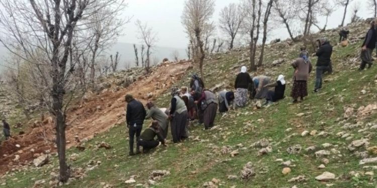 Adıyaman’da kadınların direnişi iş makinelerini durdurdu