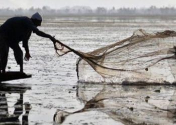 Akdeniz'de balıkçıların ağına 62 kilogram esrar takıldı