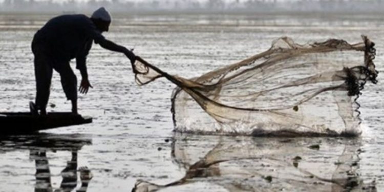 Akdeniz'de balıkçıların ağına 62 kilogram esrar takıldı