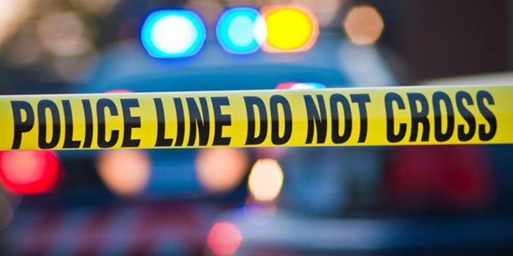 Araştırma: ABD'de her gün 3 kişi polis tarafından öldürülüyor