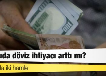Art arda iki hamle: Kamuda döviz ihtiyacı arttı mı?
