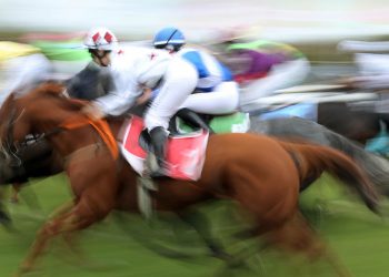 Atlar da Varlık Fonu için koşacak