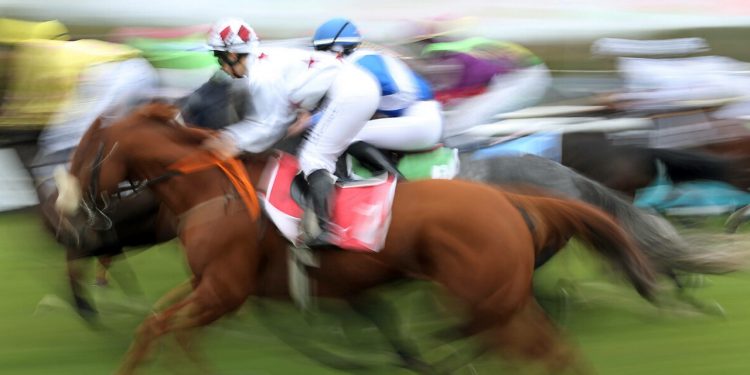 Atlar da Varlık Fonu için koşacak