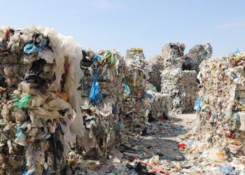 Avrupa’nın 3 kamyon çöpünden biri Türkiye’ye geliyor