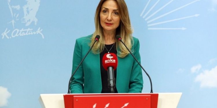 Aylin Nazlıaka: Eşitliğe inanmayanlardan, kadını güçlendiren politikalar beklenemez
