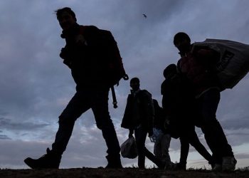 Ağrı'dan son üç yılda yaklaşık 30 bin kişi Avrupa, ABD ve Kanada'ya göç etti