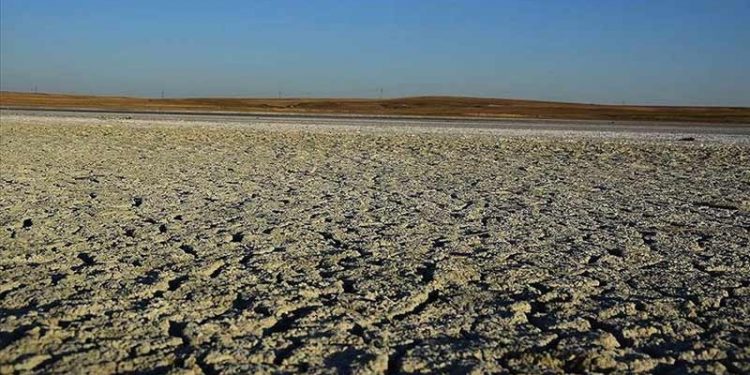 BM raporu: Küresel sıcaklık artışını sınırlandırmak mümkün