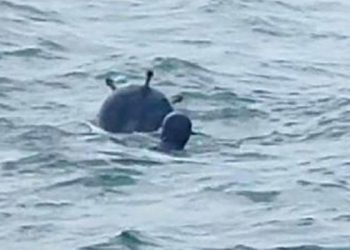 Bakan Akar: Mayınlar kasıtlı mı bırakıldı diye şüphelerimiz var