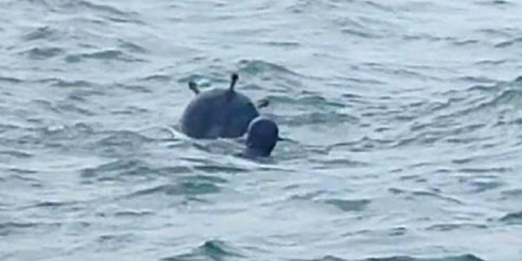 Bakan Akar: Mayınlar kasıtlı mı bırakıldı diye şüphelerimiz var