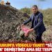Bakan Kurum'a videolu yanıt! Siz 'tespit edemedik' demiştiniz ama biz tespit ettik