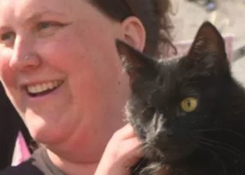 Beş yıl önce kaybolan kedi Kuzey Denizi'nde ortaya çıktı