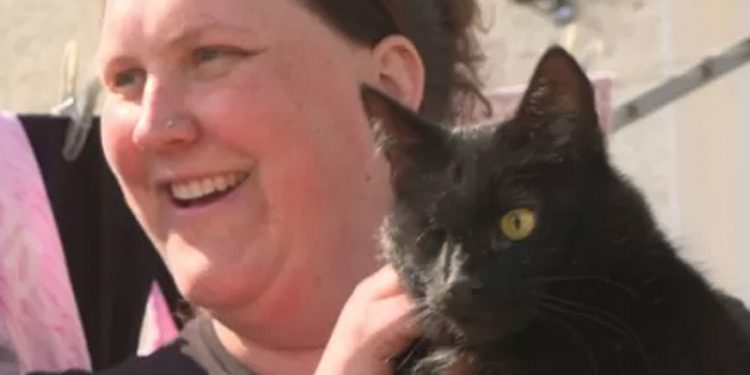 Beş yıl önce kaybolan kedi Kuzey Denizi'nde ortaya çıktı