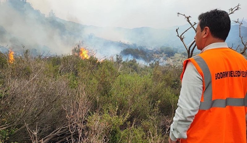 Bodrum Belediye Başkanı Aras'tan yangın açıklaması: Bir sabotajın sonucu gibi görünüyor