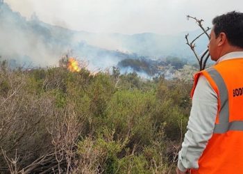Bodrum Belediye Başkanı Aras'tan yangın açıklaması: Bir sabotajın sonucu gibi görünüyor