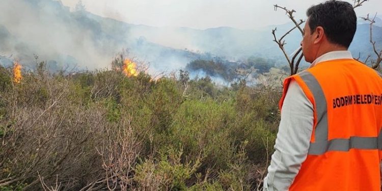 Bodrum Belediye Başkanı Aras'tan yangın açıklaması: Bir sabotajın sonucu gibi görünüyor