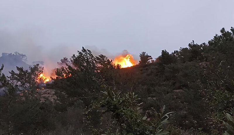 Bodrum'da orman ve maki yangını