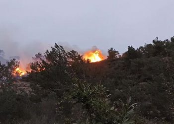 Bodrum'da orman ve maki yangını