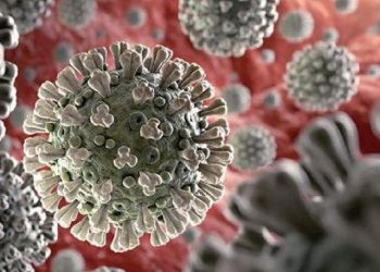 Botsvana'da 4 kişide Omicron'un yeni varyantlarına rastlandı