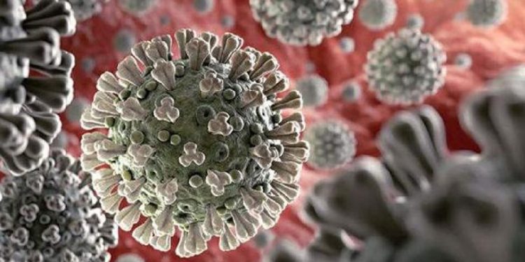 Botsvana'da 4 kişide Omicron'un yeni varyantlarına rastlandı