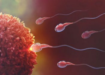 Bu gıdalar sperm kalitesini bozuyor! 2 nesil sonrasını bile etkileyebilir