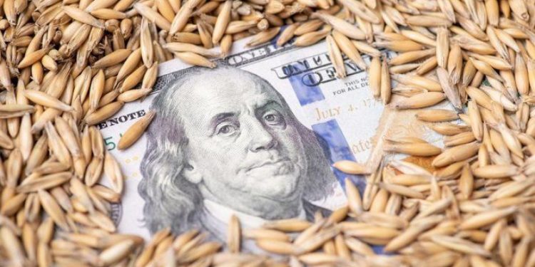 Buğday fiyatında dev artış