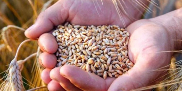 CHP'li Karabat: Gıda krizi derinleşiyor, AKP tercihini Katar'dan yana yaptı!