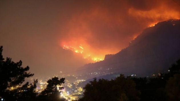 Dalaman'daki orman yangınında büyük vurgun