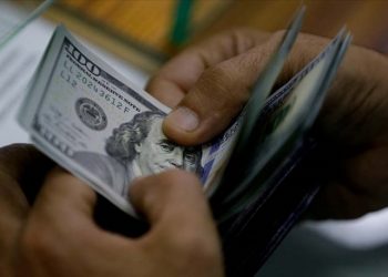 Dolarda sınırlı düşüş