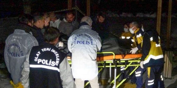 Doğum günü kutlarken ağaçta asılı cesetle karşılaştılar