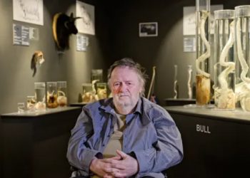 Dünyanın en büyük penis müzesini kurdu; en büyüğü 1,8 metre!