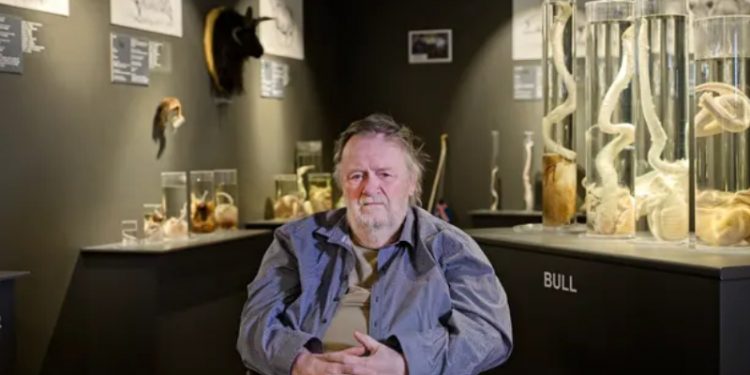 Dünyanın en büyük penis müzesini kurdu; en büyüğü 1,8 metre!