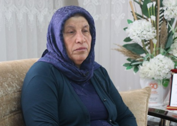 Emine Şenyaşar: Ailemi öldürenler 4 kişi değildi