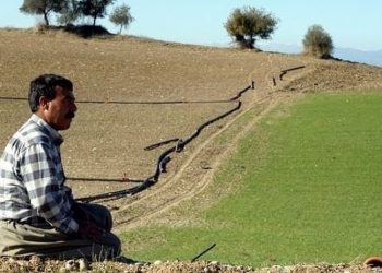 Erdoğan ‘Ekilmedik tek karış yer kalmamalı’ demişti: Tarlası haczedilen çiftçinin ekecek yeri yok