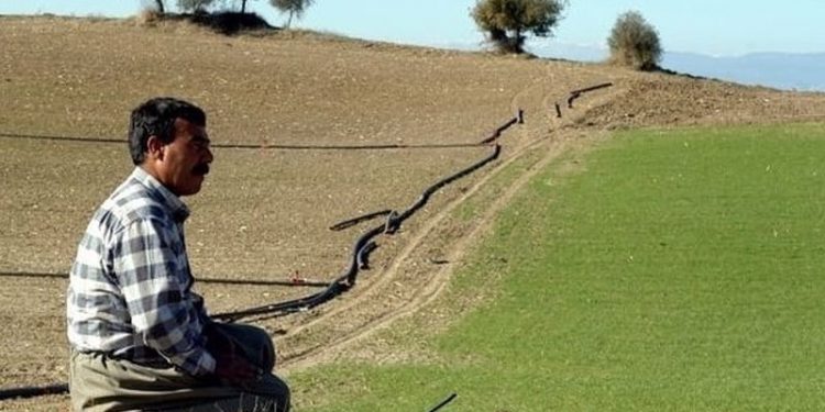 Erdoğan ‘Ekilmedik tek karış yer kalmamalı’ demişti: Tarlası haczedilen çiftçinin ekecek yeri yok