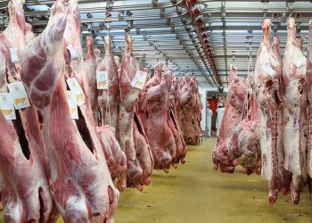 Et ve Süt Kurumu’na giden besici, hayvan başına 5 bin TL zararda