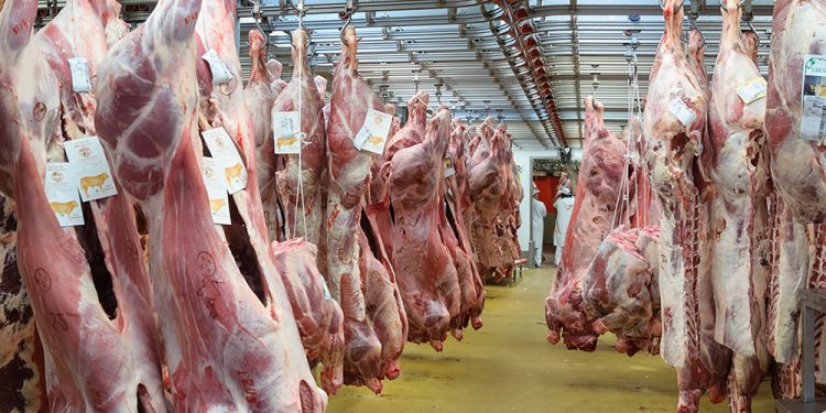 Et ve Süt Kurumu’na giden besici, hayvan başına 5 bin TL zararda