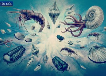 Fosiller açıkça gösteriyor, bilim insanları açıkça söylüyor…