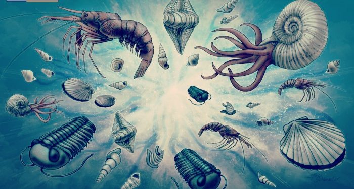 Fosiller açıkça gösteriyor, bilim insanları açıkça söylüyor…