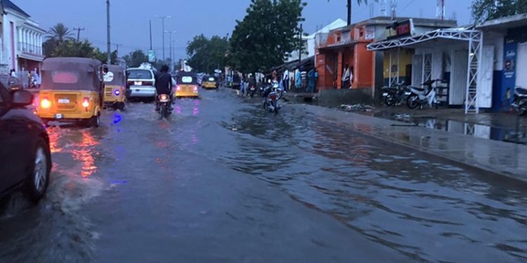 Güney Afrika'daki sel felaketinde hayatını kaybedenlerin sayısı 443'e ulaştı