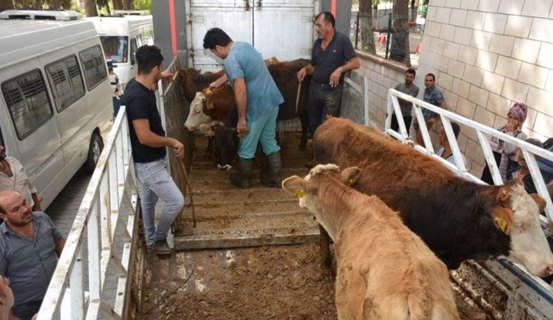 Hükümette 'et' telaşı: Bakanlık illere 'acele' koduyla yazı gönderdi