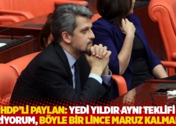 HDP&rsquo;li Paylan: Yedi yıldır aynı teklifi veriyorum, b&ouml;yle bir lince maruz kalmadım