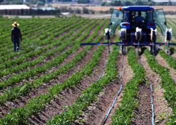 Haciz işlemi uygulanan tarım arazisi sayısı 6 yılda yüzde 101 arttı: 'Çiftçinin cenazesi yerde kaldı'