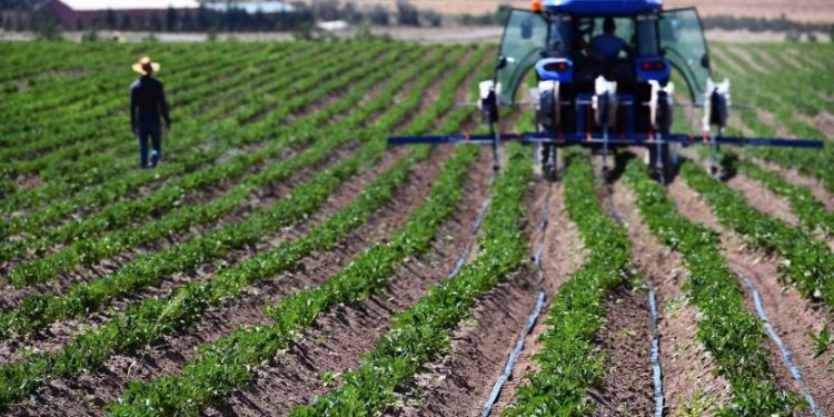 Haciz işlemi uygulanan tarım arazisi sayısı 6 yılda yüzde 101 arttı: 'Çiftçinin cenazesi yerde kaldı'