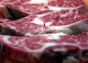 Hayvancılıkta aşı skandalı: Tarım ve Orman Bakanlığı kırmızı alarma geçti