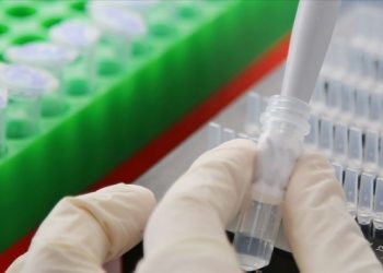 Hızla yayılan &lsquo;gizemli&rsquo; vir&uuml;s İsrail&rsquo;e de sı&ccedil;radı