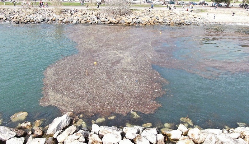 Kadıköy'de deniz yaklaşık 2 metre çekildi