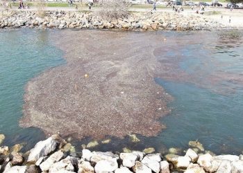 Kadıköy'de deniz yaklaşık 2 metre çekildi