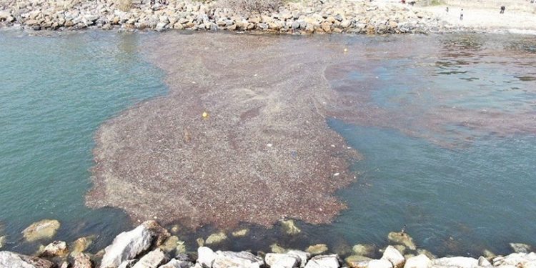 Kadıköy'de deniz yaklaşık 2 metre çekildi