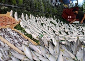 Karadeniz’de sürüklenen mayınlar balık fiyatlarını arttırdı